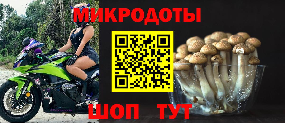 Галлюциногенные грибы Psilocybine cubensis Карталы