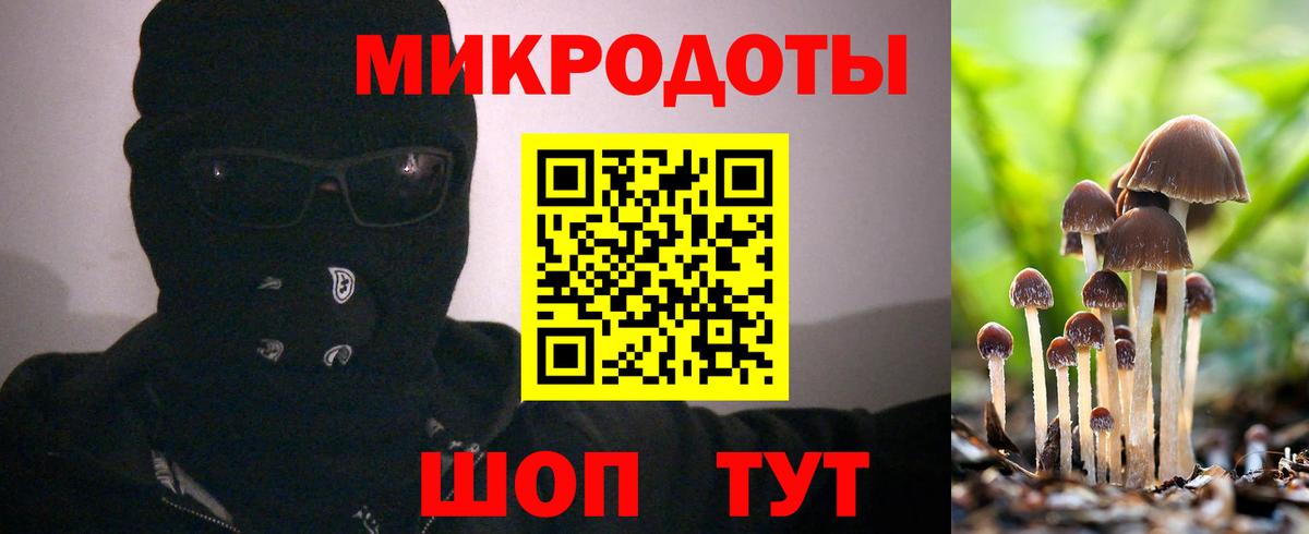 Карталы  хочу   Псилоцибиновые грибы MAGIC MUSHROOMS  Вход с VPN  Псилоцибиновые грибы Cubensis 